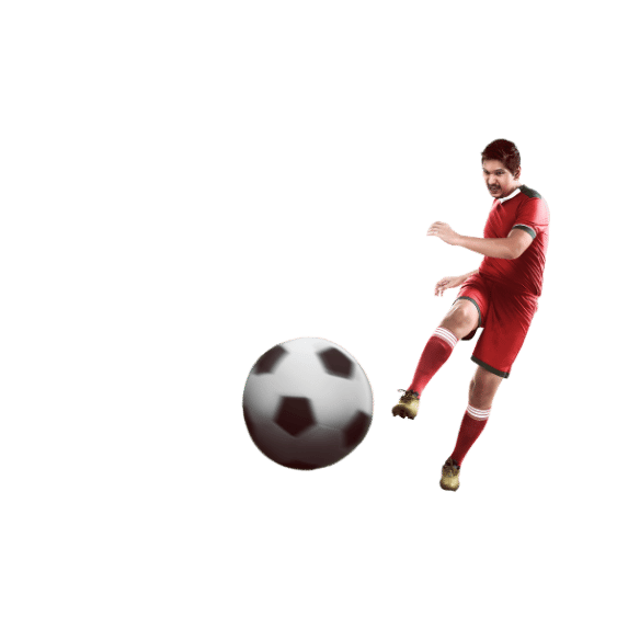 介绍世界杯滚球